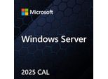 Windows Server Cal 2025 Polish 1Pk Dsp Oei 5 Clt User Cal Software