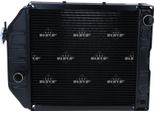 Radiatore Raffreddamento Motore Con Tappo Nrf Per Ford