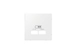 Merten Piastra Centrale Usb 2F Polws Glz
