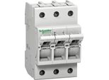 Sezionatore Con Fusibile Schneider Electric D01, 3P, 16A MGN01316