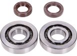 Set Di Cuscinetti Albero Motore Naraku Skf, Fkm Premium C3 Con Gabbia In Metallo Per Piaggio