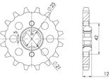 Pignone Passo 530 - Z 16 Denti (Dis.21501)