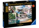 Ravensburger, Puzzle Paesaggio E Natura 1000 Pezzi Quiete Sulla Costa Occidentale, Colorato