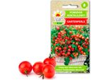 Semi Di Ortaggi Toraf Pomodoro Ciliegino Gartenperle, Confezione 0,3G
