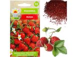 Semi Di Fragola Rugia Fertile Frutto Succoso Più Dolce 0,2G