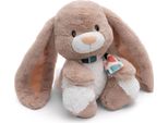 Nici Coniglio Di Peluche Fjella 25Cm Schlenker 25CM