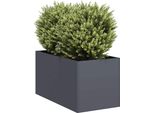 Maison Exclusive - Vaso Per Piante Antracite 40X80X40 Cm Acciaio Laminato A Freddo