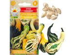 Zucca Ornamentale Piccola Indiana Mix 2G Semi Mix Di Colori E Forme Di Zucca