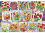 Alipson Puzzle Gardeners Joy - 1000 Pezzi Multicolore