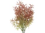 Ramo Di Decorazione Clayre & Eef 33 Cm Plastica Marrone