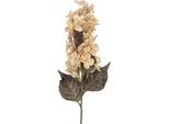 Clayre & Eef Ramo Di Decorazione 8X8X72 Cm Plastica Beige