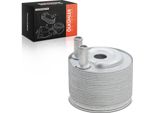 Frankberg 1X Radiatore Olio Motore Per Nissan Murano Ii Z51 NP300 Navara D40 Pathfinder Iii R51