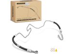 Frankberg 1X Tubo Servosterzo Per Vw Golf Bora Audi A3 8L1 Seat Toledo Ii Leon Skoda