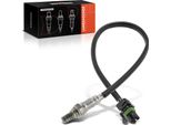 Frankberg 1X Sonda Lambda Sensore Di Controllo Prima Del Convertitore Catalitico Per Renault Laguna I 556 B56 Espace Iii Safrane Ii