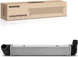 Frankberg 1X Intercooler Turbocooler Per Renault ScéNic Iii Jz Megane Iii Dz Kz Bz 2.0L