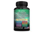 Muschio Marino, Ashwagandha, Olio Di Semi Neri, Bardana, Curcuma (120 Capsule) Ossa, Articolazioni, Digestione, Capelli, Pelle, Unghie, Salute Del Cuore, Sistema Immunitario