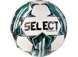 Calcio Numero 10 Fifa Basic V23 P9826