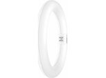 Osram Led Tube T9C Em 22, Tubo Led Ad Anello, 11W, 1320Lm, 6500K, Luce Bianca Diurna, Alternativa Led Per Le Classiche Lampade Fluorescenti T9, Lunga Durata, Basso Consumo Energetico