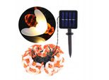 Luci Solari Da Giardino Componente 5 Metri 20 Led Api Fredde