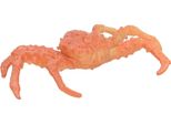 Collezionare Figure Giocattolo Di Animali Marini
