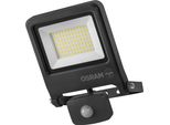 Osram Endura Flood Pc Proiettore Led 50W Con Sensore, 4000K, 5000 Lumen, Rilevatore Ir IP44, Portata Regolabile Fino A 9 M, Grigio Scuro