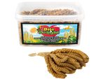 Bite&Delight - Miglio Senegalese Bianco 3 Kg In Flaconi - Trattamento Naturale Per Pappagalli, Uccelli Ornamentali E Selvatici, Ricco Di Fibre E Sostanze Nutritive