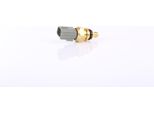 Nissens 207048 Sensore Della Temperatura Del Liquido Di Raffreddamento Per Ford Fiesta Mk6 Hatchback (JA8, JR8) Fiesta Mk5 Hatchback (JH1, JD1, JH3, JD3) Focus Iii Turnier