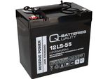 Q-Batteries 12LS-55 / 12V - 55Ah Batteria Al Piombo Acido Di Tipo Standard Agm Vrla Tipo 10 Anni