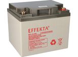 Effekta Btl 12-45L Batteria Al Piombo Agm Vrla 12V 45Ah