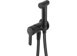 Concealed Bidet Mixer With Bidetta Shower Head