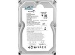 Disco Rigido Hp 1TB 481276-001 7200RPM Sata Ii 3,5" Pollici ST31000340NS"