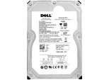 Disco Rigido Dell 0G377T 1TB Sata Ii 32MB Cache 7200Rpm 3,5" Pollici ST31000340NS"