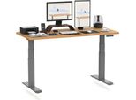 Scrivania Flexispot Regolabile In Altezza 140X80Cm 2 Motori, Portata 160 Kg, Protezione Anticollisione, Piano D'appoggio Monoblocco Da 25 Mm, 4 Posizioni Di Memoria Acero