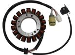 Statore Sgr Trifase 18 Poli Con Pick-Up Per Yamaha