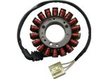 Statore Sgr Trifase 18 Poli Senza Pick-Up Per Yamaha Fzs Fazer 1000