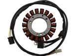 Statore Sgr Trifase 18 Poli Con Pick-Up Per Suzuki Ls P Savage 650