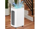Jayseuw Deumidificatore 26L/Giorno Modalità Sleep, Serbatoio Rimovibile Da 4,5L Timer 24 Ore Per Camera Da Letto Bagno Cantina Armadio Ufficio Garage Contro Umidità Sporco E Muffa