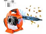 Soffiatore A Benzina 79 Cc - Soffiatore Manuale A 2 Tempi - Volume D'aria 425 Cfm - Potente Aspiratore Di Foglie Per La Manutenzione Del Giardino