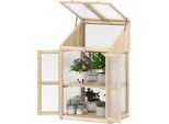 Costway Struttura Fredda A 2 Livelli, In Legno E Pc, Letto Rialzato Resistente Alle Intemperie, Serra Con 2 Porte, Coperchio E Ripiani Rimovibili, Serra 69X58X121Cm Natura
