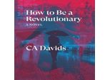 Come Essere Un Rivoluzionario