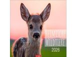 Calendario Della Fauna Selvatica Autoctona 2026