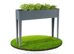 Arebos Aiuola Rialzata 101,5X26X80 Cm Serra Fredda Aiuola Per Erbe Aromatiche E Ortaggi Balcone