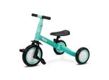 Toyz, Triciclo Balance Bike Per Bambini, Bici 4In1 Per Bambini, Triciclo, Due Ruote, Fox, Turchese