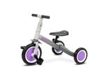 Toyz, Triciclo Balance Bike Per Bambini, Bici 4In1 Per Bambini, Triciclo, Due Ruote, Fox, Grigio