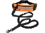 Guinzaglio Per Cani A Mani Libere Con Tasca Con Zip, Riflettente, Per Jogging E Passeggiate Notturne