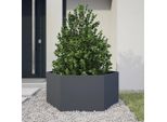 Vidaxl Fioriera Esagonale Antracite 104X90X45 Acciaio