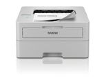 Brother HL-L2865DW Laserdrucker S/W
