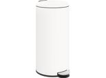Homcom Cestino Per Rifiuti 30L A Pedale Cestino Per Cosmetici Cestino Per Rifiuti Con Coperchio E Pedale, Cestino Per Rifiuti Con Contenitore Interno, Per Soggiorno, Ufficio, Metallo, 36 X 30 X 63,5 Cm
