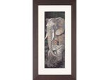 Lanarte Set Per Punto Croce "Aida Protezione Animali"", Schema Per Il Conteggio, 17X50Cm"