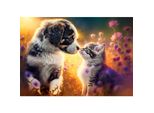 Castorland Puzzle Piccola Amicizia 500 Pezzi